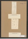 Diatomeae indet. Zeichnungen Sammlung Grunow Nr. 6433 (NHMW-BOT-W0375125)